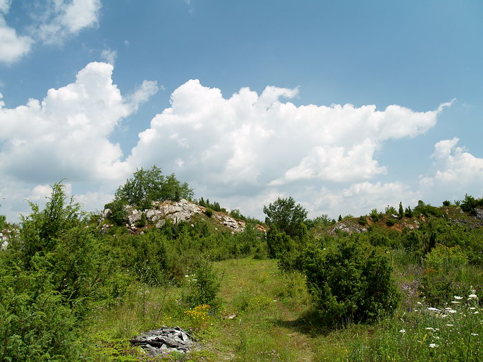 P7147019m