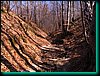 IMG_1515.JPG