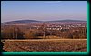 IMG_3727.jpg