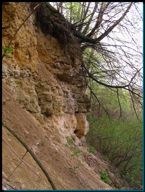 pic_044 zalas lom z uskokiem.jpg