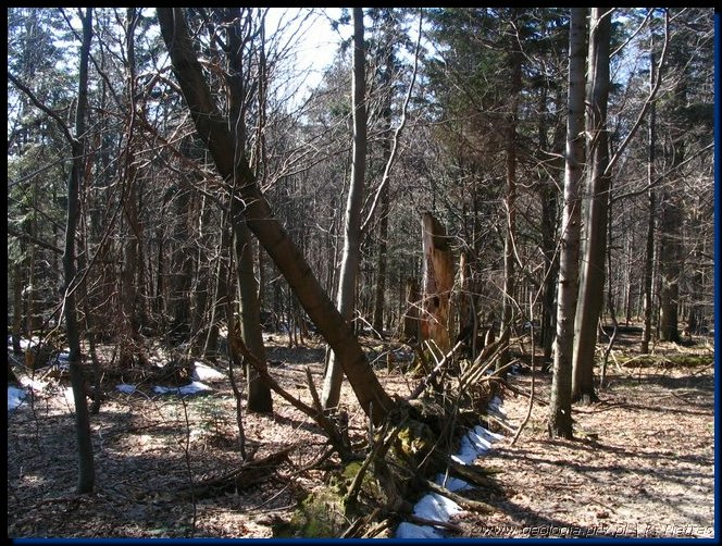 lysogory_33.jpg