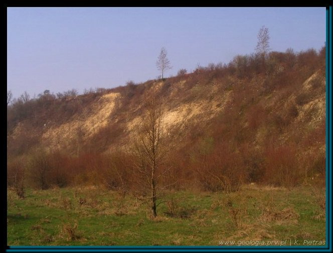 nasilow_05.jpg