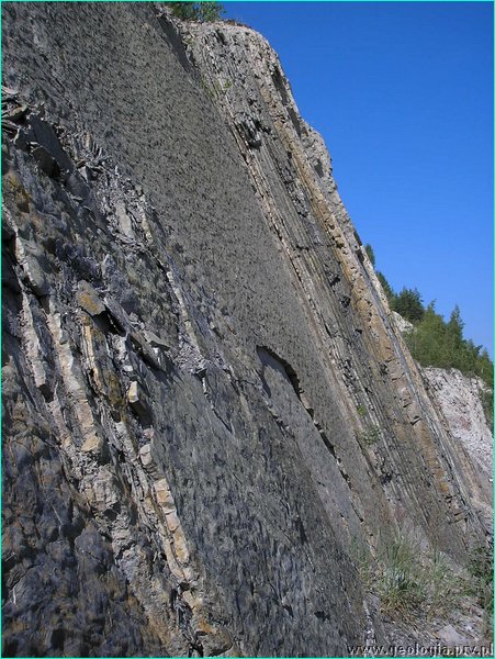 fot_07.JPG