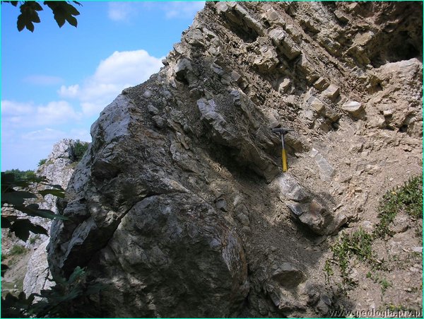 fot_42.JPG